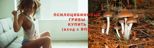 кокаин колумбия Алексин