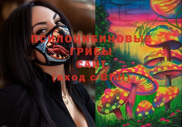 соль ск Алзамай