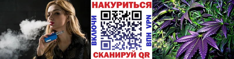 Конопля конопля  kraken как зайти  Далматово  дарнет шоп 
